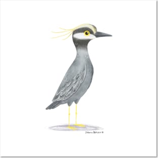 Yellow Crowned Night Heron Bird Posters and Art
